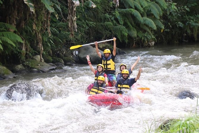 Best White Water Rafting in Bali - Two Hours and About 33 Rapids