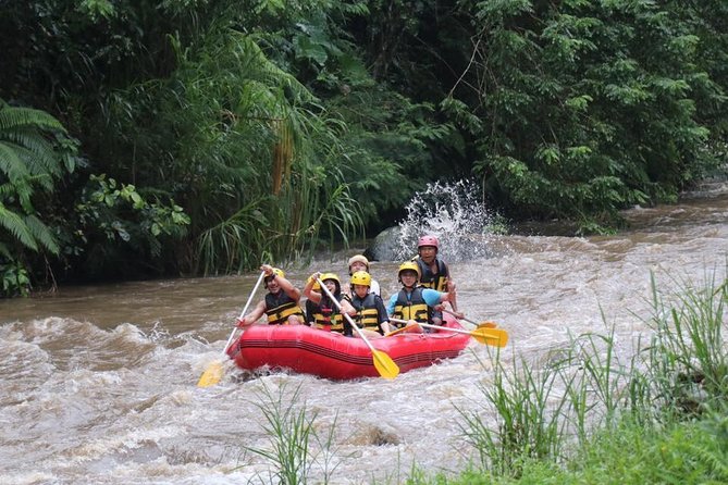 Best White Water Rafting in Bali - What the $36.70 Price Really Covers