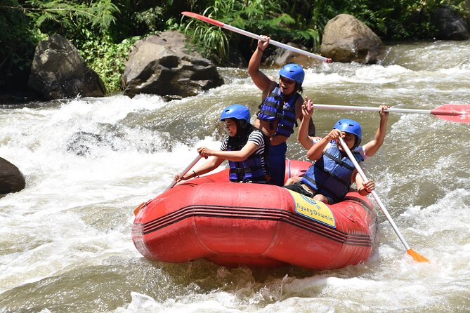 Best White Water Rafting & Lunch, Ubud - Safety equipment, instruction, and guide support