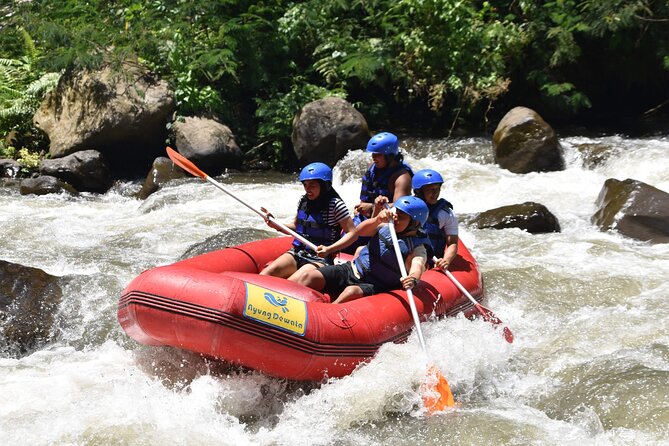 Best White Water Rafting & Lunch, Ubud - Timing, cancellation, and practical planning