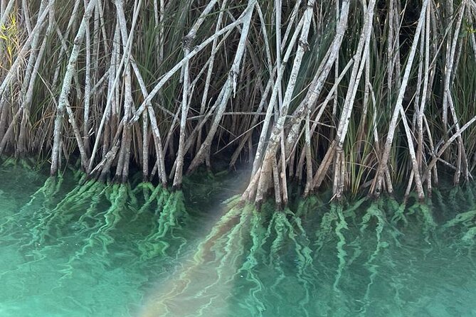Beyond Bacalar: Pirate Route Exploration + River Float + Lunch - What the $321.69 price really buys