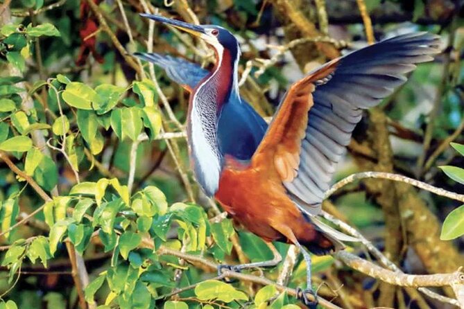 Beyond Bacalar: Pirate Route Exploration + River Float + Lunch - Who will get the most from this outing