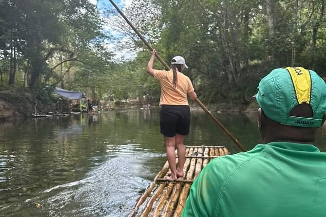 Bird Sanctuary and/or Lethe Bamboo Rafting from Montego Bay - Rocklands Bird Sanctuary and the hummingbird welcome