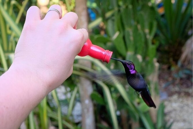 Bird Sanctuary and/or Lethe Bamboo Rafting from Montego Bay - Who will enjoy this outing most