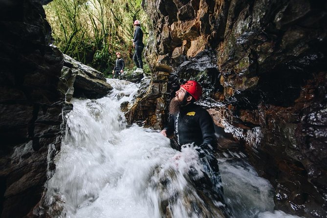 Black Labyrinth: Black Water Rafting - Private Tour from Auckland - Meeting New Zealand’s kiwi at Otorohanga