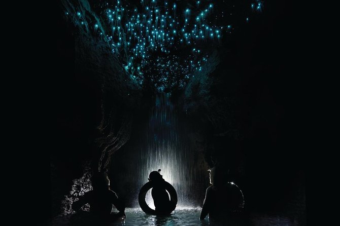 Black Water Rafting Experience Waitomo Caves Tour - The parts that make this Waitomo adventure different