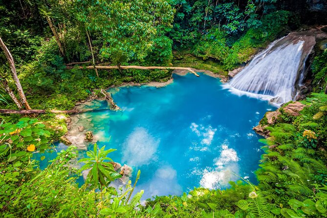 Blue Hole Waterfalls and Bamboo Rafting from Ocho Rios Jamaica - Rio Bueno turns the second half into a quiet river ride