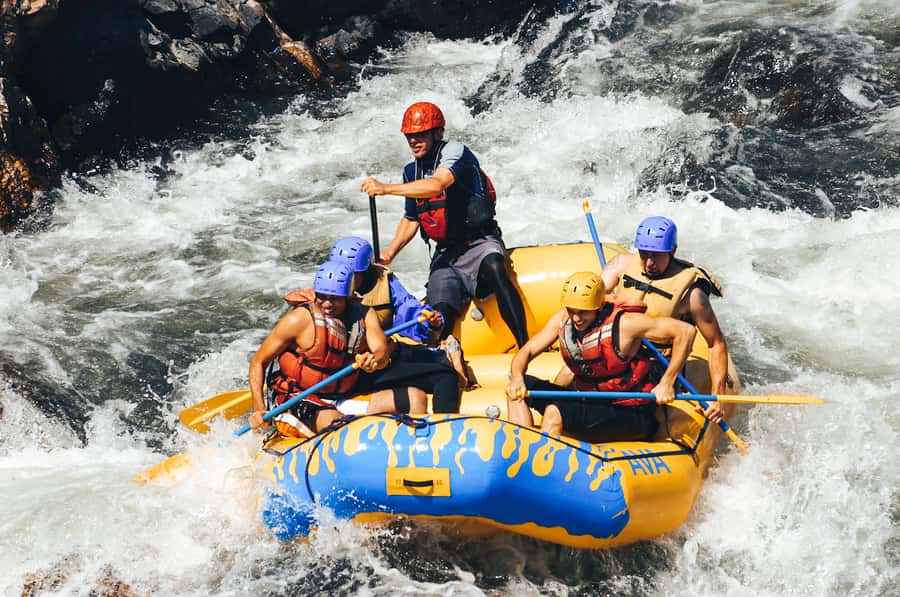 Buena Vista: Browns Canyon Half-Day Whitewater Rafting Trip - Key points at a glance