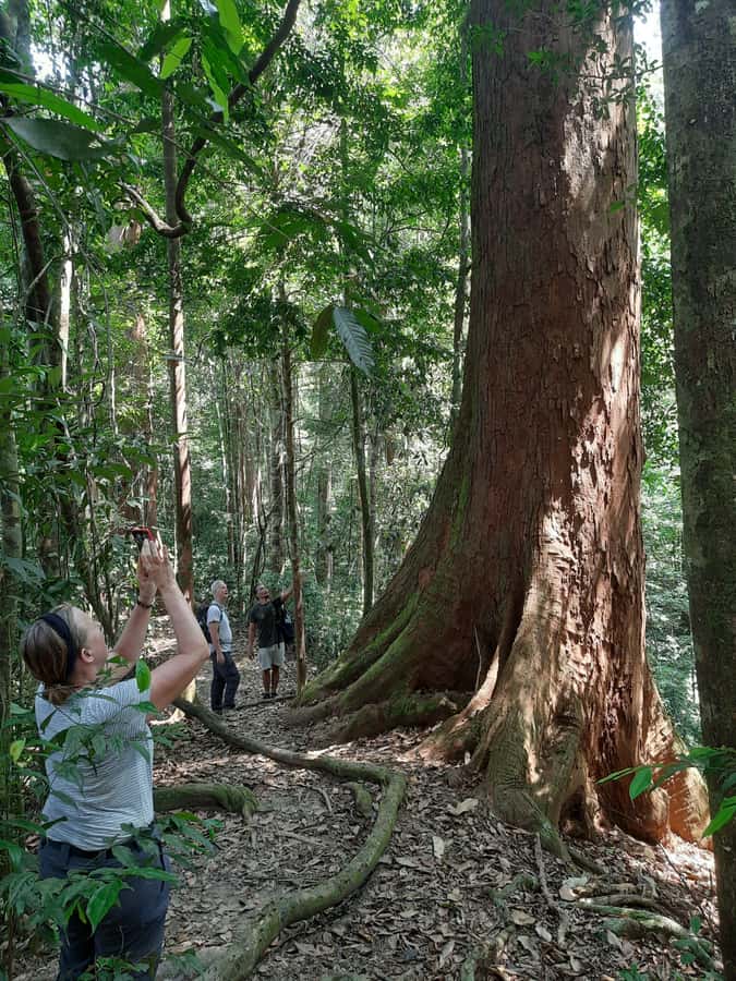Bukit Lawang: Jungle Trekking and Rafting Day Trip - Lunch and the Bukit Lawang briefing