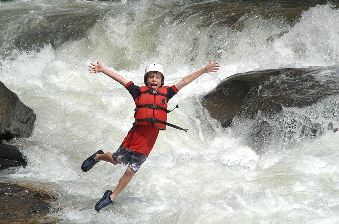 Chattooga River Rafting - Mild: Section 3 - Class II and III rapids, with Bull Sluice as a high point