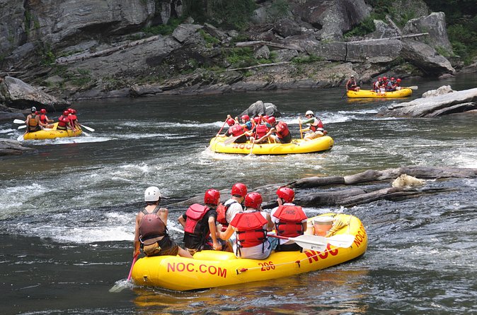 Chattooga River Rafting - Mild: Section 3 - A riverside lunch and walk to the falls
