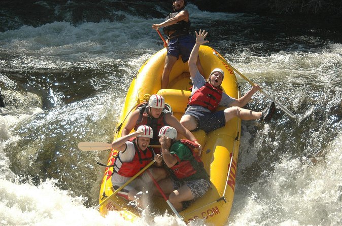 Chattooga River Rafting - Mild: Section 3 - Who will enjoy this Chattooga outing most