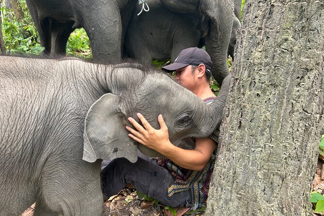 Chiang Mai 1 Day: Elephant Sanctuary, Waterfall & Bamboo Rafting - A full day beyond Chiang Mai