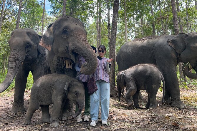 Chiang Mai 1 Day: Elephant Sanctuary, Waterfall & Bamboo Rafting - Three hours of feeding, walking, and bathing