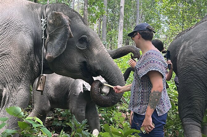 Chiang Mai 1 Day: Elephant Sanctuary, Waterfall & Bamboo Rafting - Lunch beside Mae Saphok Waterfall