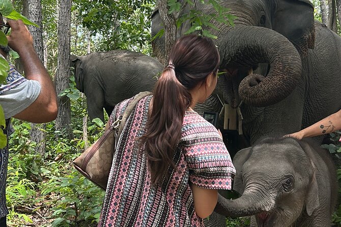 Chiang Mai 1 Day: Elephant Sanctuary, Waterfall & Bamboo Rafting - Who will enjoy this day most