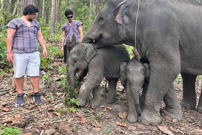 Chiang Mai 1 Day: Elephant Sanctuary, Waterfall & Bamboo Rafting - The morning drive and local market stop