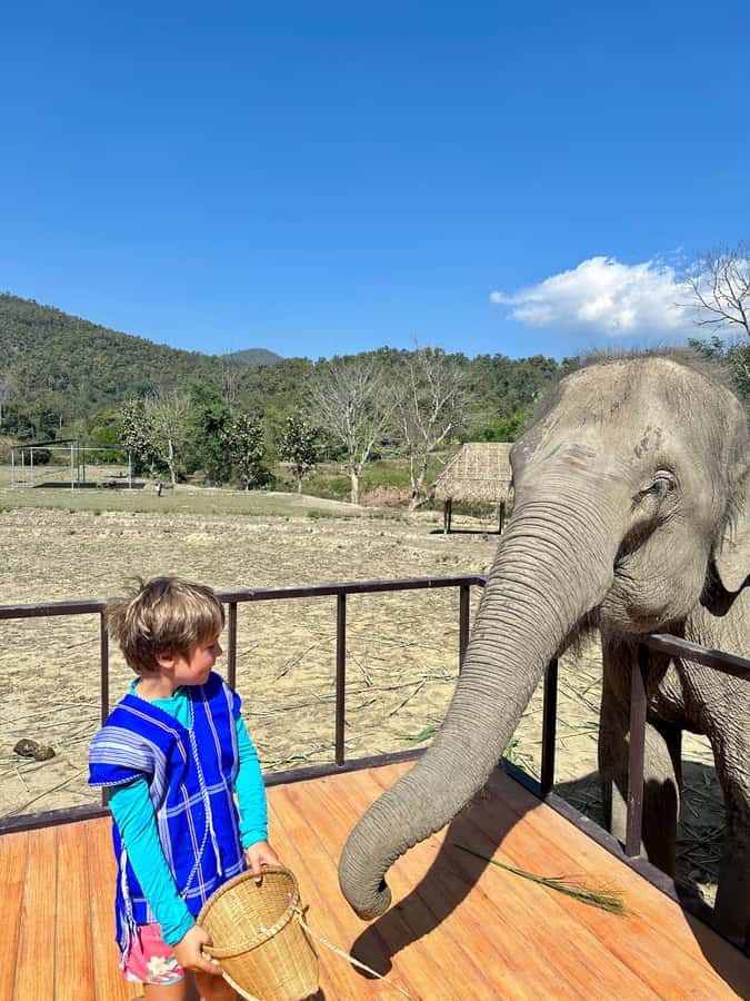 Chiang Mai: 2-Day Tour with Rafting, Elephants, and Waterfall - Key points to know before booking