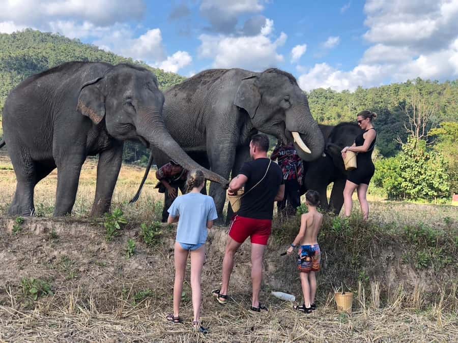 Chiang Mai: 2-Day Tour with Rafting, Elephants, and Waterfall - From Chiang Mai to the Mae Wang River