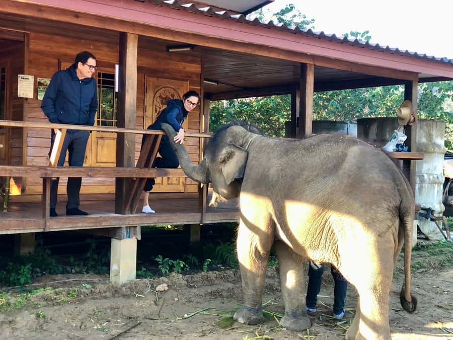 Chiang Mai: 2-Day Tour with Rafting, Elephants, and Waterfall - A night beside a jungle waterfall