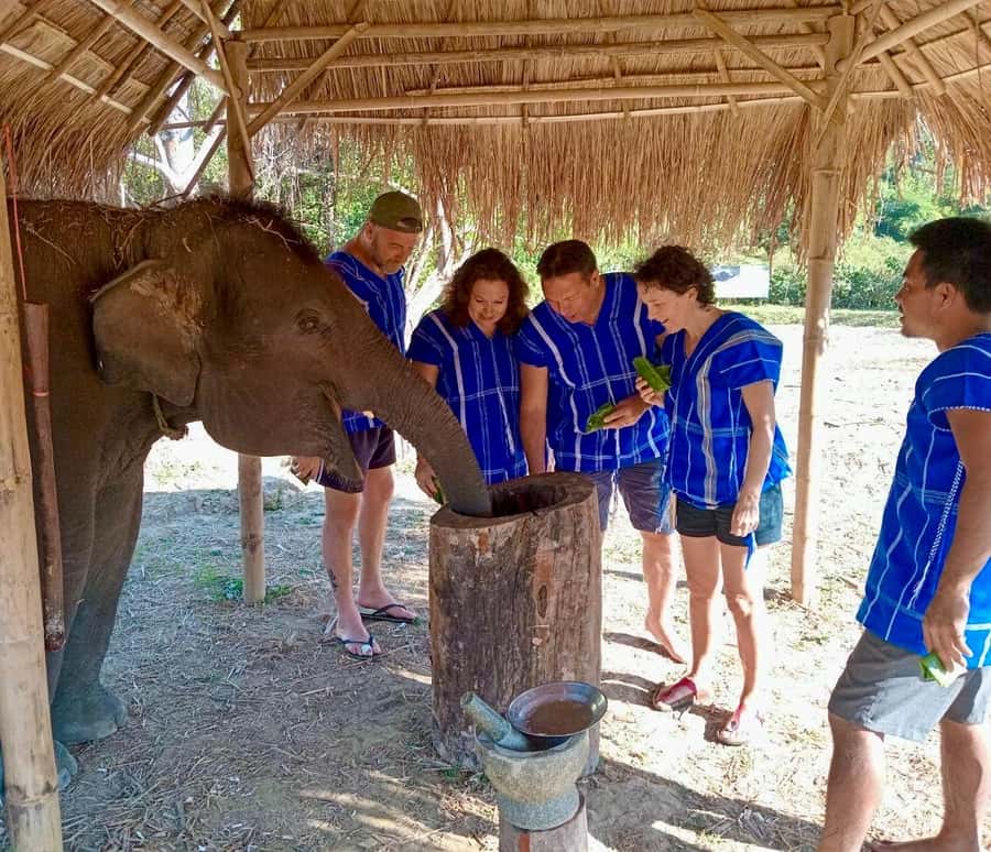 Chiang Mai: 2-Day Tour with Rafting, Elephants, and Waterfall - Feeding elephants at the camp