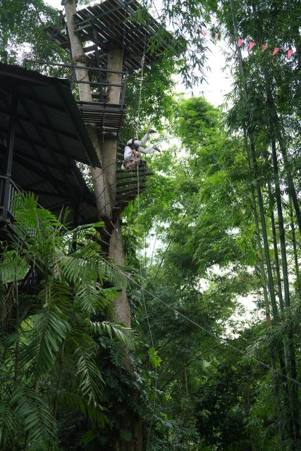 Chiang Mai:ATV 2-3 hrs. & Elephant Feeding&Rafting&Waterfall - Feeding elephants at a care site