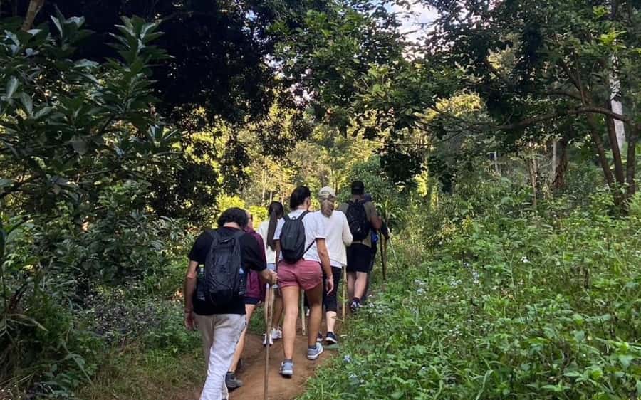 Chiang Mai: ATV Adventure, Jungle Hike & White Water Rafting - Who should book this adventure?