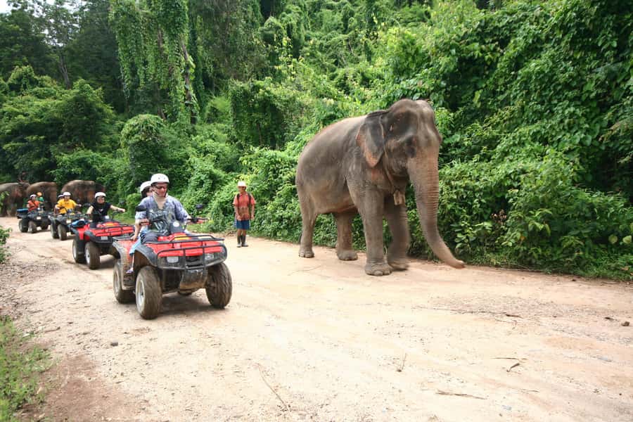 Chiang Mai : ATV Tour + Whitewater Rafting - Riding 30 kilometers through Mae Tang country