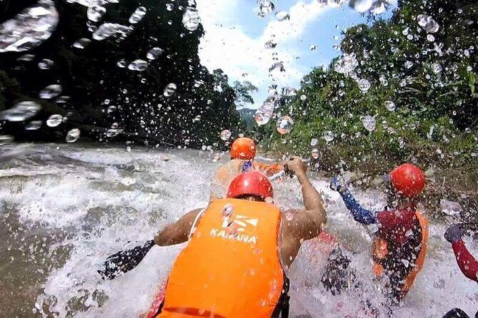 Chiang Mai ATV White Water Rafting and Elephant Sanctuary Full-Day Trip - Who will enjoy this day most