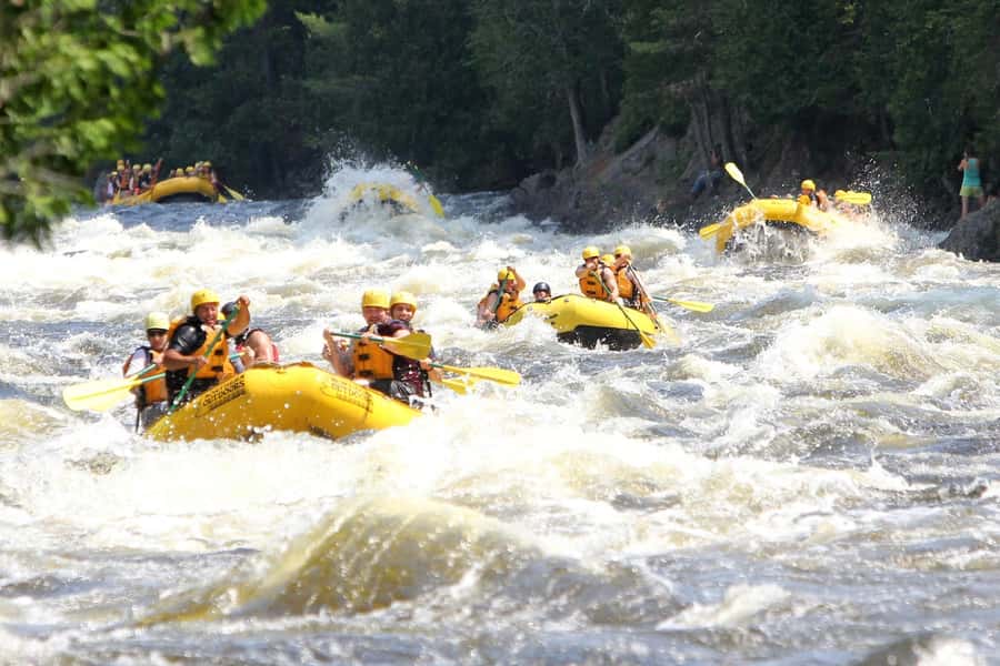 Chiang Mai ATV & White Water Rafting & Trekking to Waterfall - Key points to know before booking