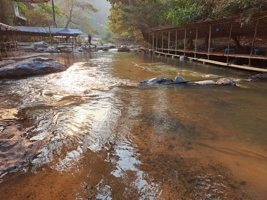 Chiang Mai: Bamboo Rafting and Wat Phra That Doi Kham - What the $118 price really covers