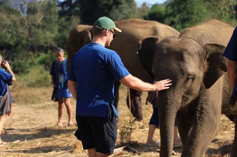 Chiang Mai: Elephant Sanctuary Bamboo Raft & Padthai Cooking - Key points at a glance