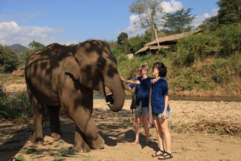 Chiang Mai: Elephant Sanctuary Bamboo Raft & Padthai Cooking - Bamboo rafting on the Wang River