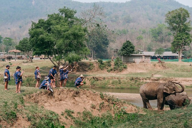 Chiang Mai Elephant Sanctuary, Bamboo Rafting and Waterfall Tour - Bamboo rafting through forest country