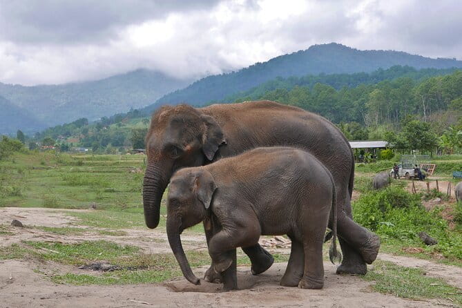 Chiang Mai Elephant Sanctuary Observation and Bamboo Rafting - Making a Thai souvenir before lunch is over