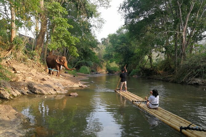 Chiang Mai Elephant Sanctuary Observation and Bamboo Rafting - What the $61.92 price really covers