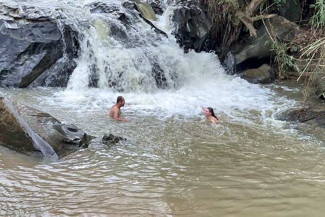 Chiang Mai Elephant Sanctuary Observation and Bamboo Rafting - Waterfall time, herbal tea, and a useful break