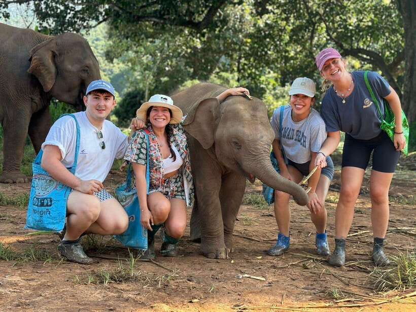 Chiang Mai: Elephant Sanctuary, Waterfall & Bamboo Rafting - Key points at a glance