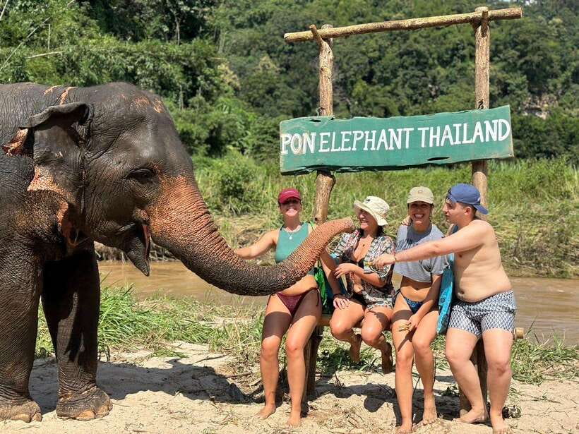 Chiang Mai: Elephant Sanctuary, Waterfall & Bamboo Rafting - A full day from Chiang Mai to Mae Wang