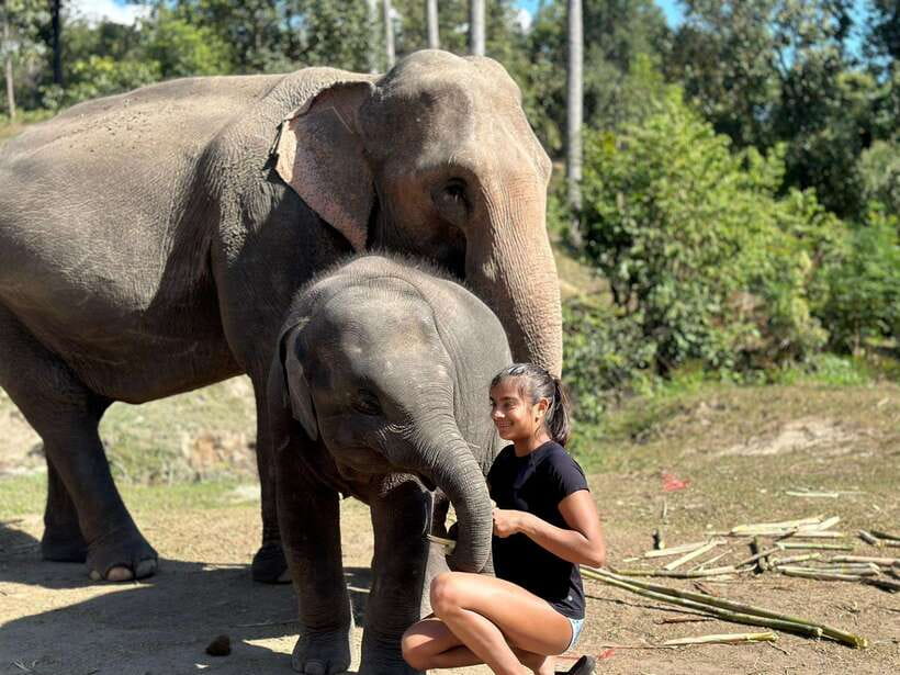 Chiang Mai: Elephant Sanctuary, Waterfall & Bamboo Rafting - Walking through the forest with the elephants