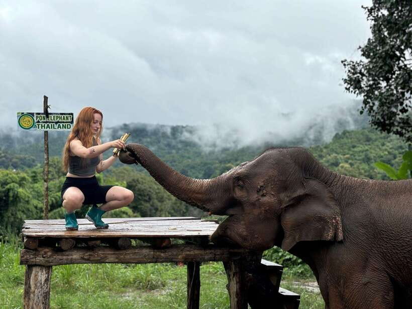 Chiang Mai: Elephant Sanctuary, Waterfall & Bamboo Rafting - Bathing in the river with the elephants