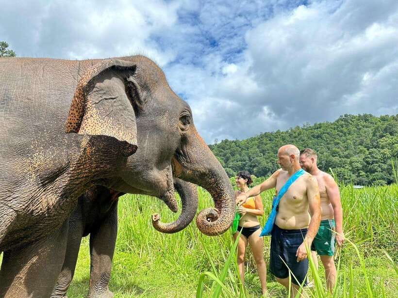Chiang Mai: Elephant Sanctuary, Waterfall & Bamboo Rafting - What the day feels like in practice