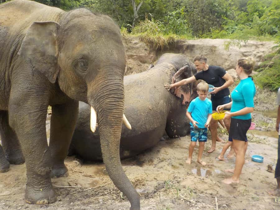 Chiang Mai Elephant Village Life: Long Neck & Bamboo Rafting - What to bring for a wet mountain day