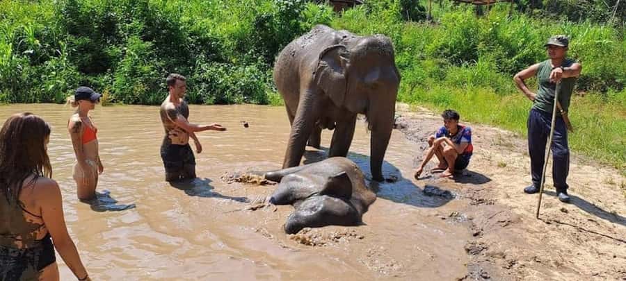 Chiang Mai Elephant Village Life: Long Neck & Bamboo Rafting - A Thai lunch prepared in the village