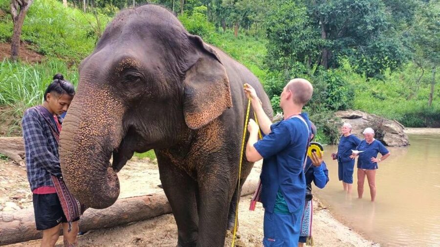 Chiang Mai Elephant Village Life: Long Neck & Bamboo Rafting - The Karen Hill Village visit and the Long Neck question