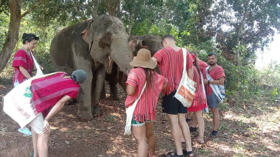 Chiang Mai Elephant Village Life: Long Neck & Bamboo Rafting - Is $70 a fair price?