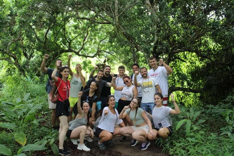 Chiang Mai: Elephants, Waterfall, and White Water Rafting - The ethical question around elephant activities