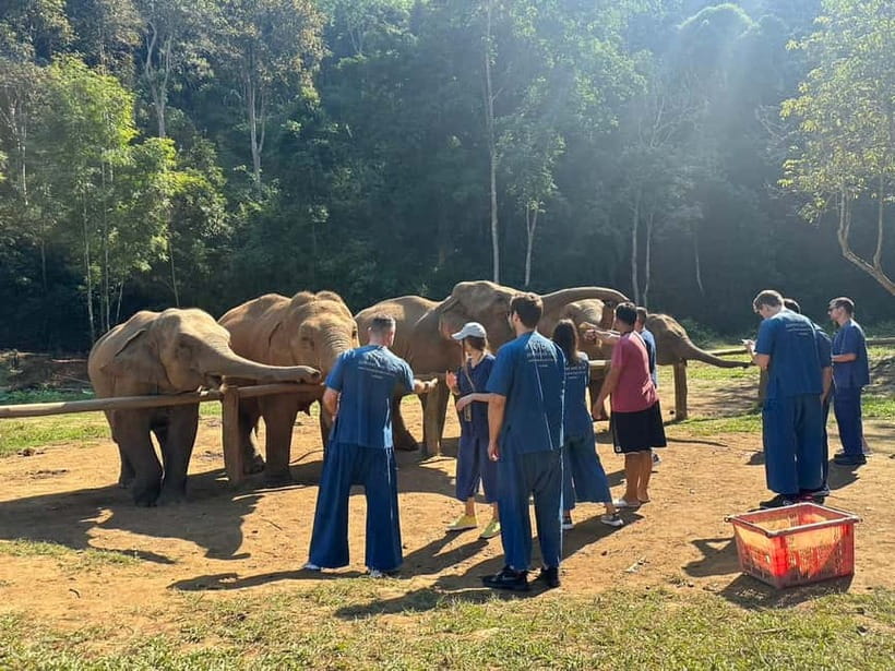 Chiang Mai: Elephants, Waterfall, and White Water Rafting - From Chiang Mai to the Mae Taeng Jungle