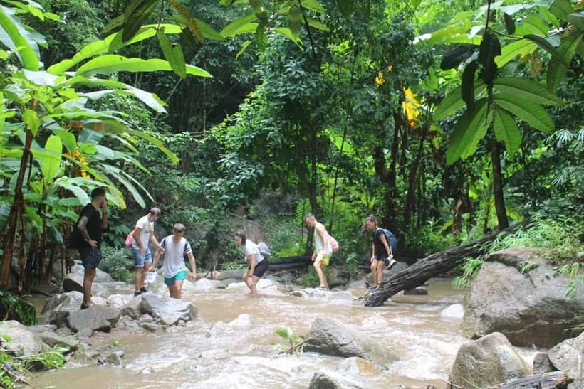 Chiang Mai: Elephants, Waterfall, and White Water Rafting - What the $77 price really covers