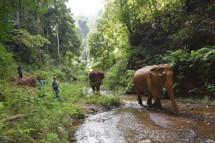 Chiang Mai: Elephants, Waterfall, and White Water Rafting - Practical packing advice for a wet jungle day